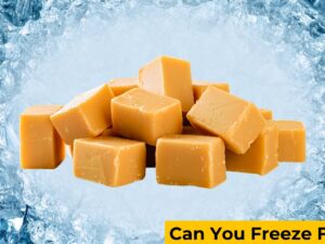 Can you freeze fudge